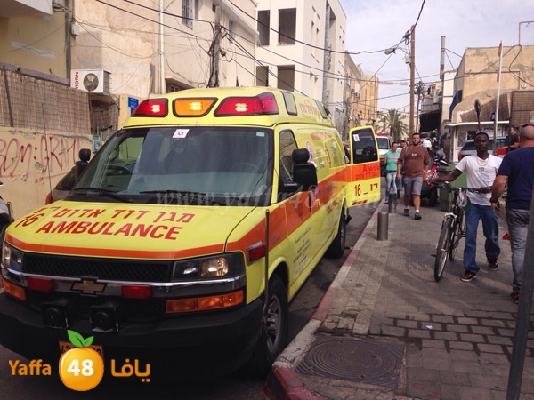 ta3n shejar 7sanbek (7).JPG